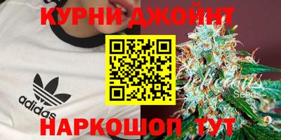 крисы Коммунар