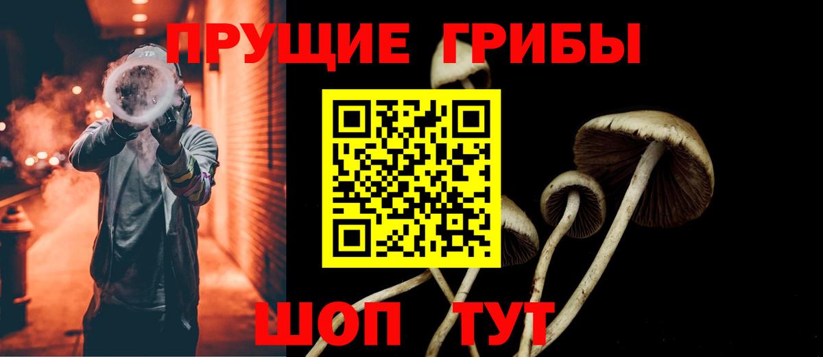 Галлюциногенные грибы прущие грибы  Псилоцибиновые грибы ЛСД  Вход с VPN  Королёв 